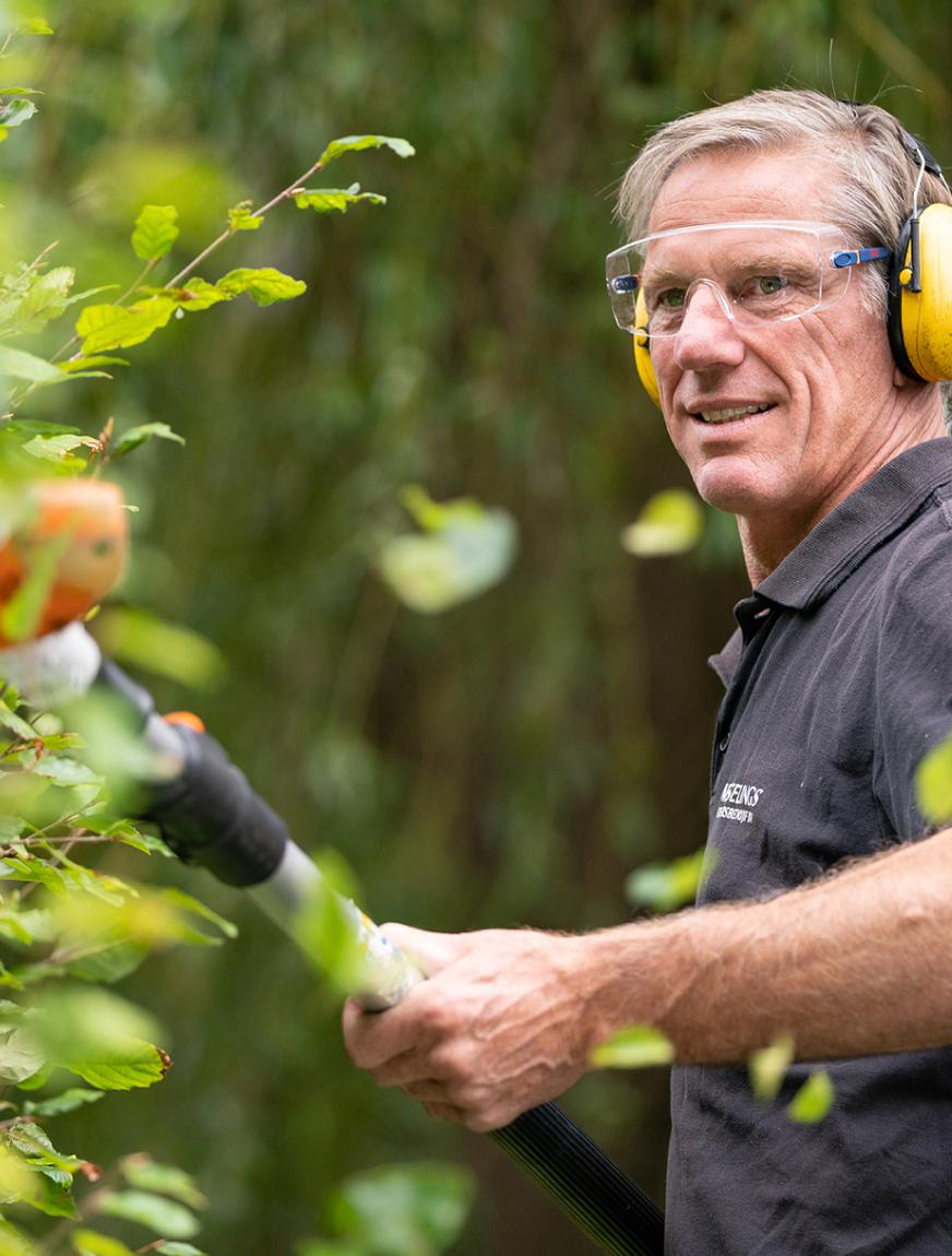 Hoveniers en groenvoorziening